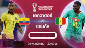World Cup 2022